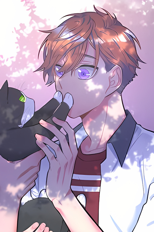 Background overlay