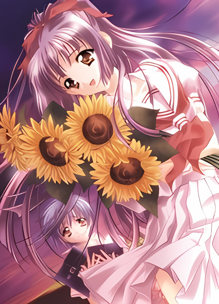 Background overlay