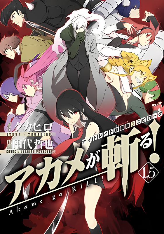 Akame ga Kiru! 1.5 cover