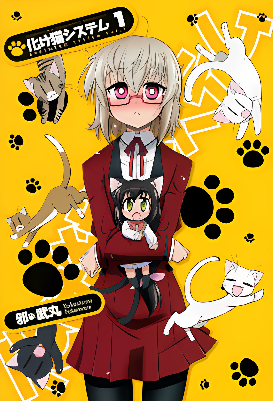 Bakeneko System cover
