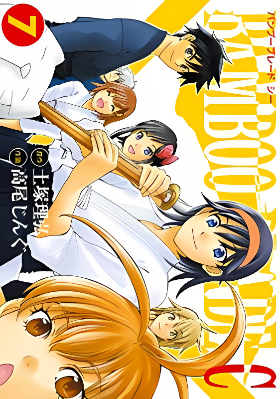 Bamboo Blade C cover