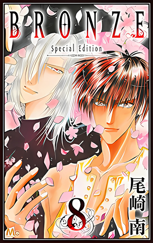 Bronze cover