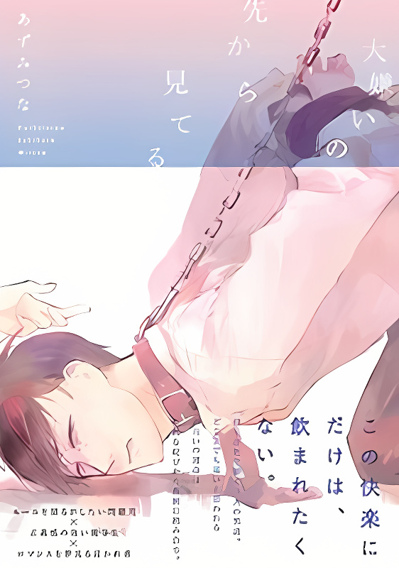 Daikirai no Saki Kara Miteru cover