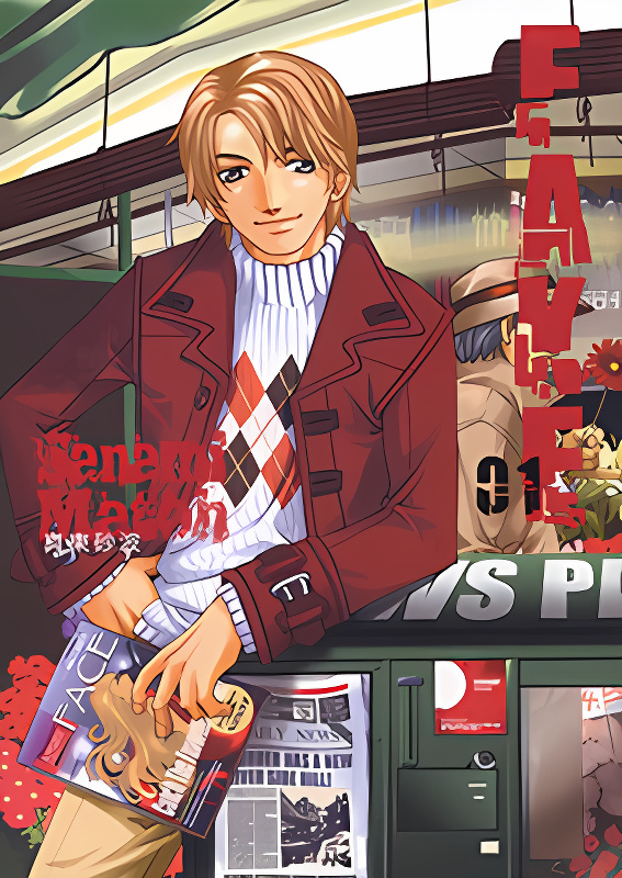 Fake cover