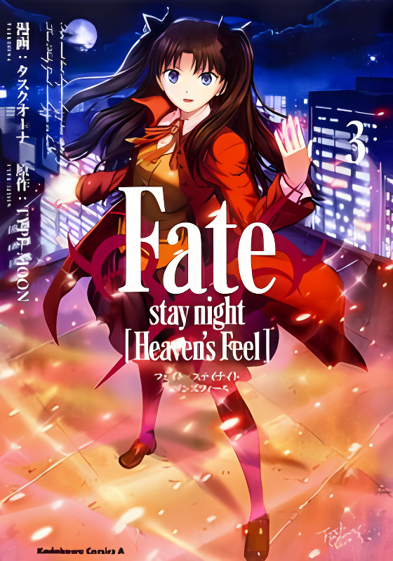 Fate/Stay Night - Heaven's Feel cover