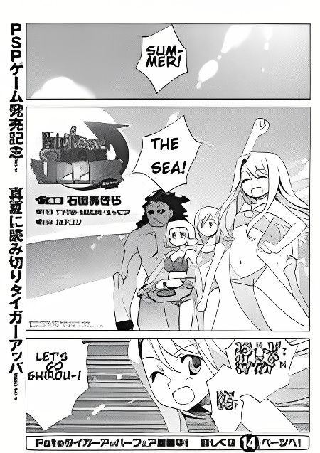Fate/tiger colosseum UPPER cover