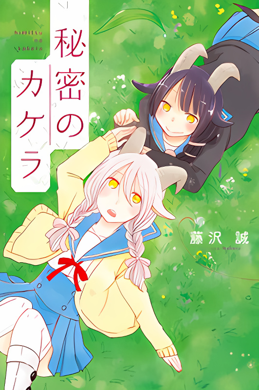 Himitsu no Kakera cover