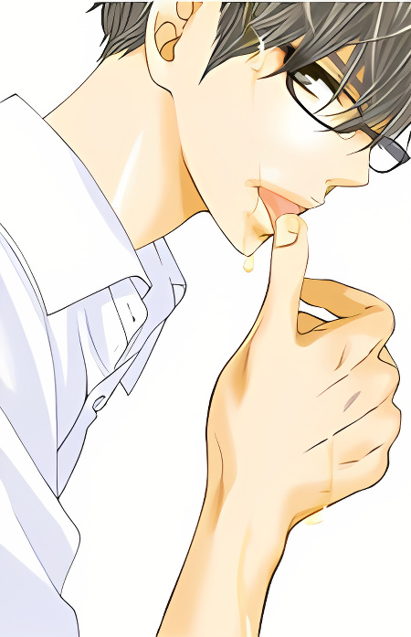 Honey Holic cover