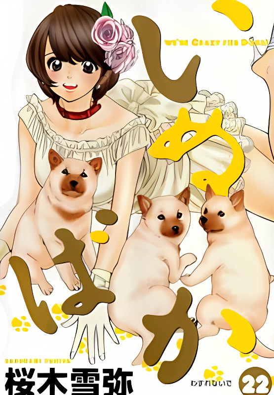 Background overlay