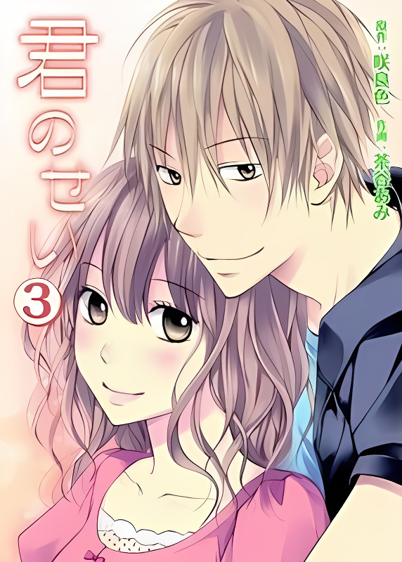 Kimi no Sei cover