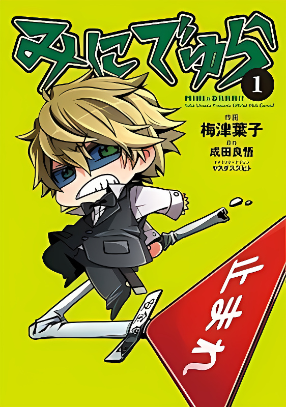 Minidura cover