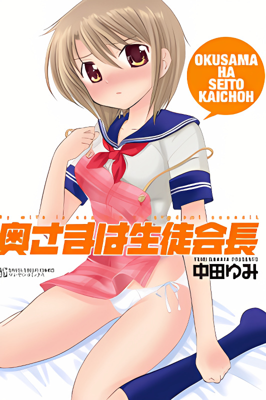 My Wife is Captain of Student Council cover