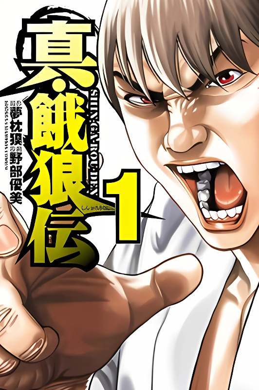 Shin Garouden cover
