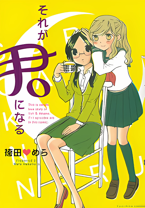 Sore ga Kimi ni Naru cover