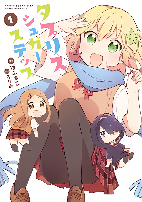 Tapris Sugar Step cover
