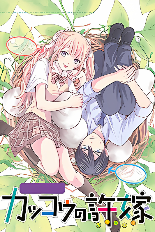 Background overlay