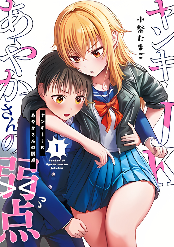 The Many Weaknesses of My Yankee Girlfriend cover