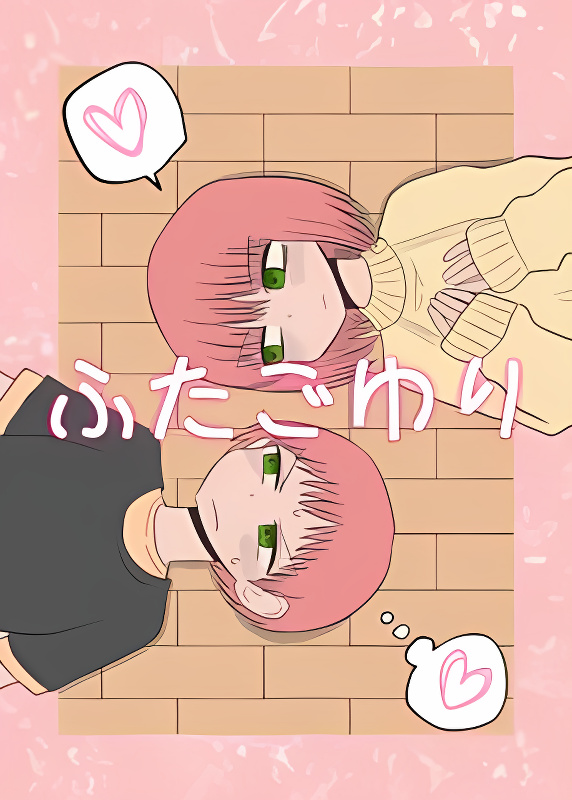 Twin Sisters cover