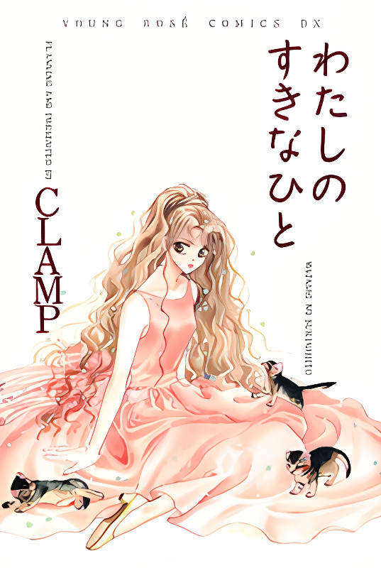 Watashi no Sukina Hito cover