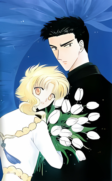 Wish cover
