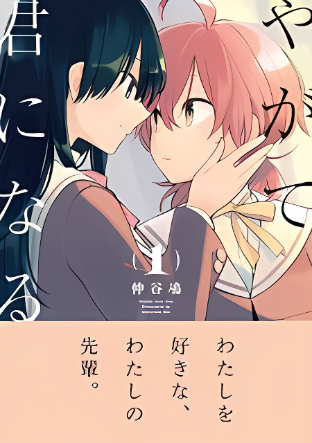 Yagate Kimi ni Naru cover