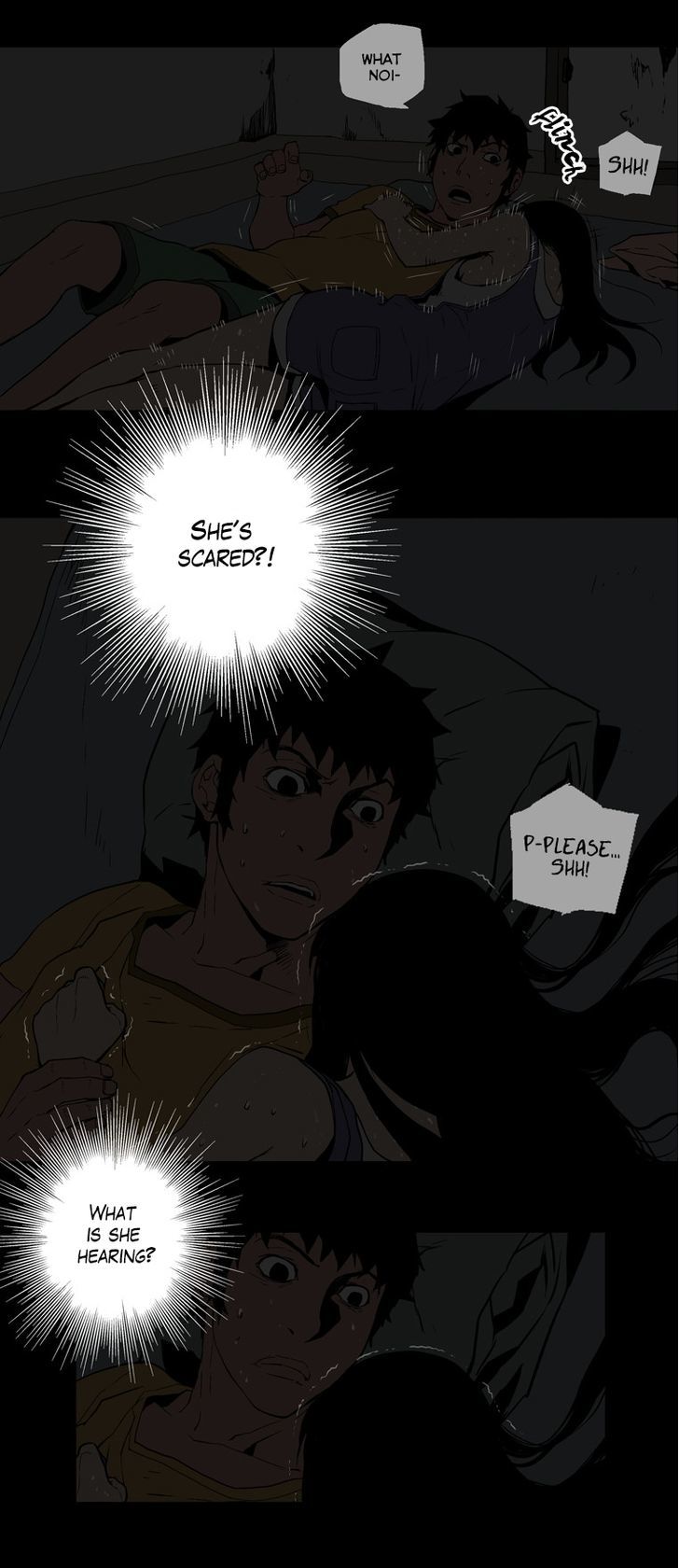 0.0 Mhz Chapter 1.6 page 23 - Vol.1 Chapter 6 : Observation