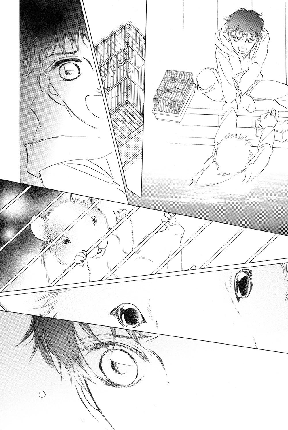 1/4 x 1/2 ® Chapter 1.2 page 14 - Chapter 1.2
