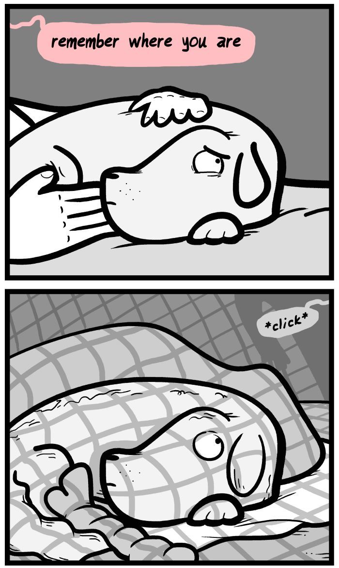 1111 Animals Chapter 102 page 7 - Chapter 102