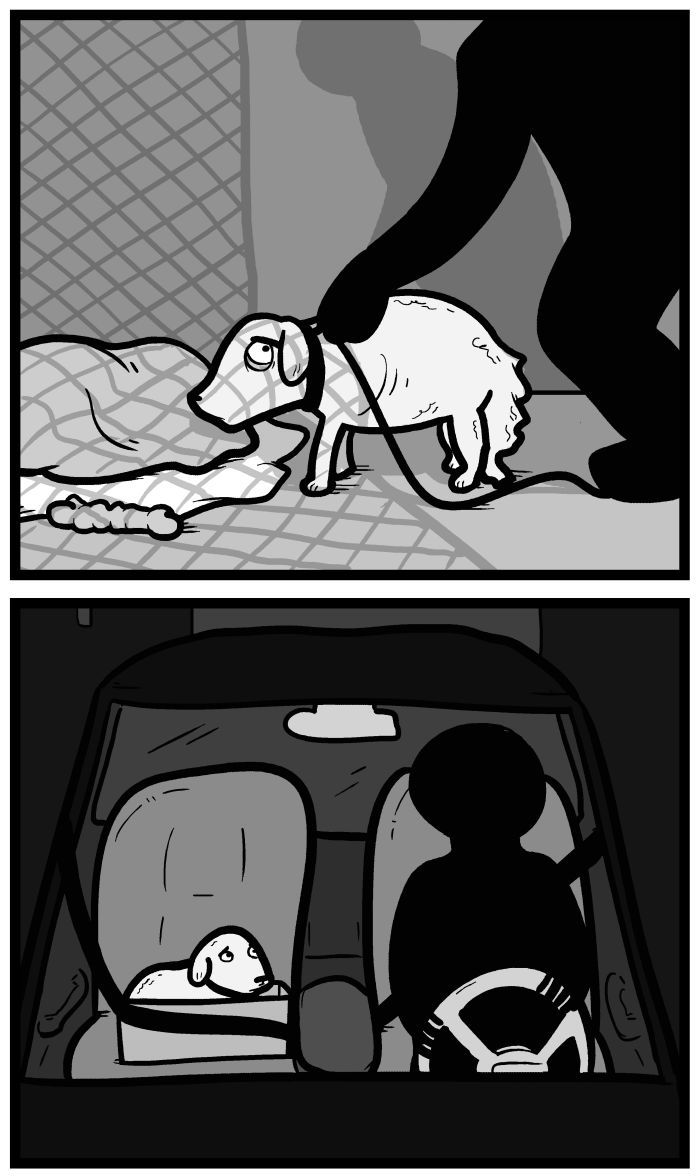 1111 Animals Chapter 102 page 8 - Chapter 102
