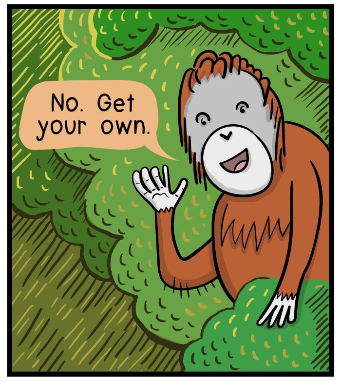 1111 Animals Chapter 14 page 5 - Chapter 14 : Hey Orangutan