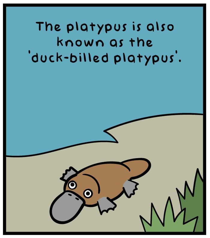 1111 Animals Chapter 15 page 1 - Chapter 15 : Platypus-billed Duck