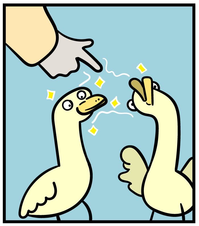 1111 Animals Chapter 15 page 5 - Chapter 15 : Platypus-billed Duck