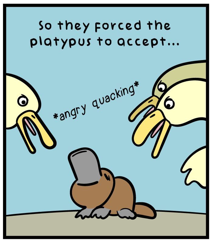 1111 Animals Chapter 15 page 7 - Chapter 15 : Platypus-billed Duck
