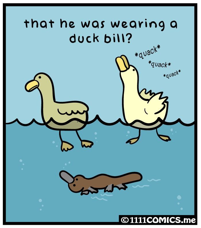1111 Animals Chapter 15 page 8 - Chapter 15 : Platypus-billed Duck
