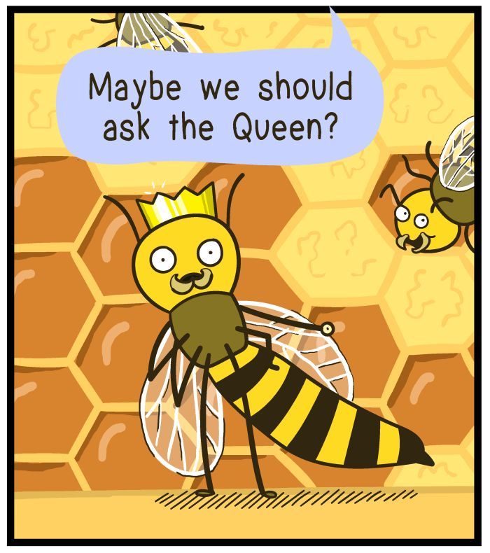 1111 Animals Chapter 16 page 4 - Chapter 16 : Queen Bee