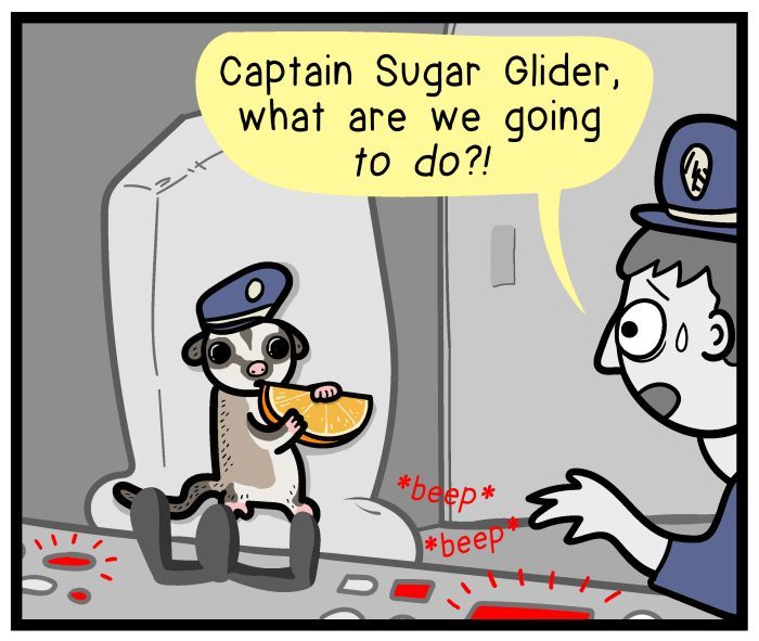 1111 Animals Chapter 18 page 5 - Chapter 18 : Captain Suger Glider