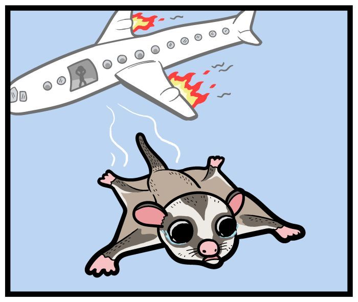 1111 Animals Chapter 18 page 9 - Chapter 18 : Captain Suger Glider