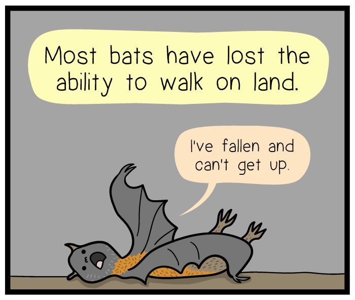 1111 Animals Chapter 21 page 3 - Chapter 21