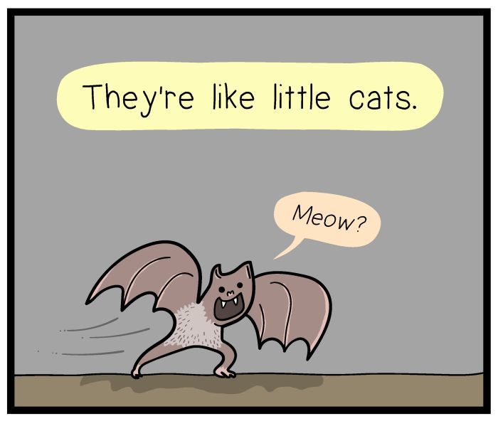 1111 Animals Chapter 21 page 5 - Chapter 21