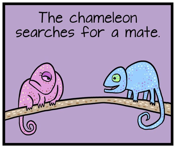 1111 Animals Chapter 28 page 3 - Chapter 28
