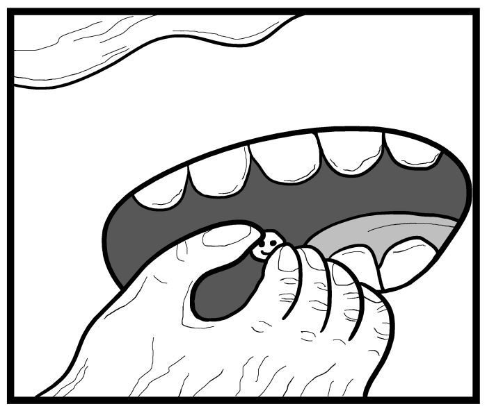 1111 Animals Chapter 38 page 8 - Chapter 38