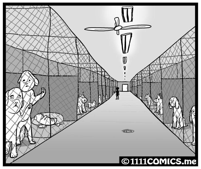 1111 Animals Chapter 41 page 8 - Chapter 41