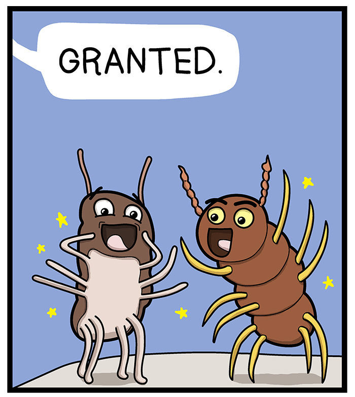 1111 Animals Chapter 5 page 3 - Chapter 5 : The centipede and the millipede