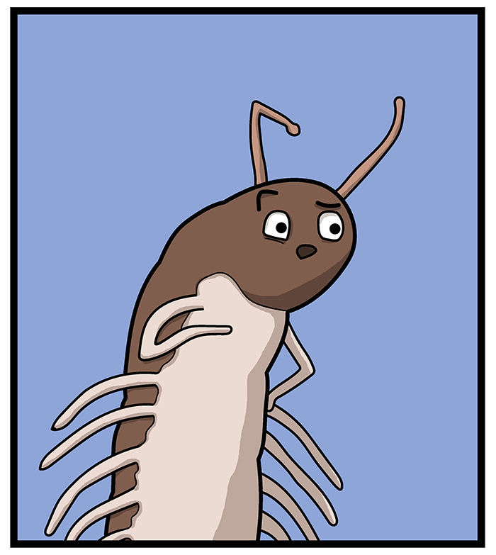 1111 Animals Chapter 5 page 6 - Chapter 5 : The centipede and the millipede