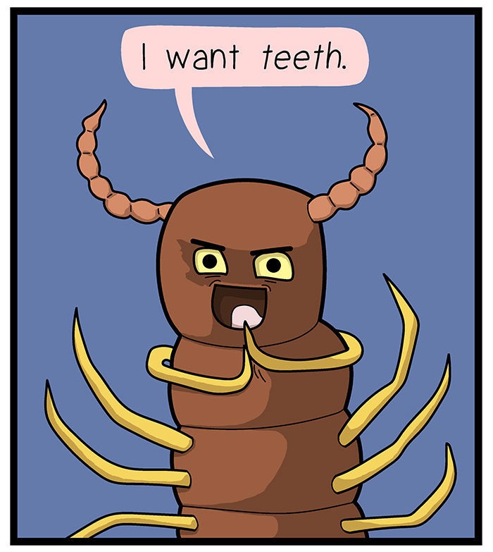 1111 Animals Chapter 5 page 7 - Chapter 5 : The centipede and the millipede