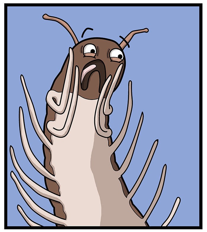 1111 Animals Chapter 5 page 8 - Chapter 5 : The centipede and the millipede