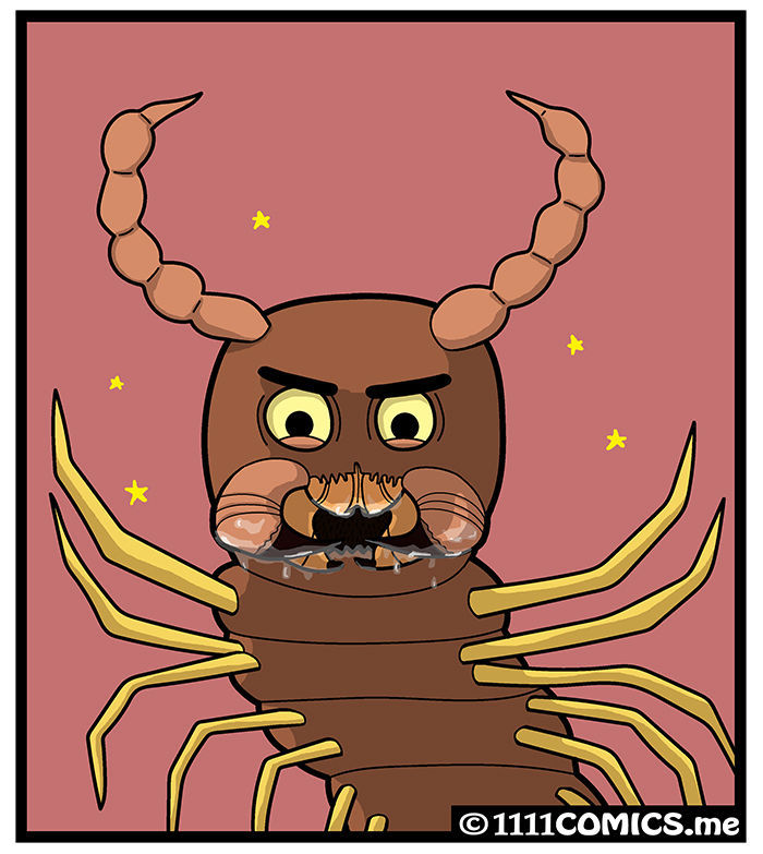 1111 Animals Chapter 5 page 9 - Chapter 5 : The centipede and the millipede