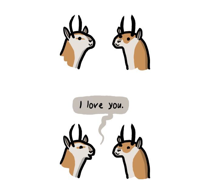 1111 Animals Chapter 53 page 3 - Chapter 53