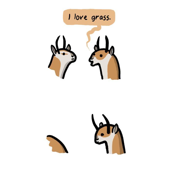 1111 Animals Chapter 53 page 4 - Chapter 53