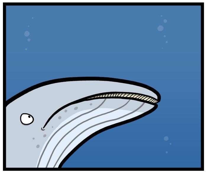 1111 Animals Chapter 60 page 6 - Chapter 60